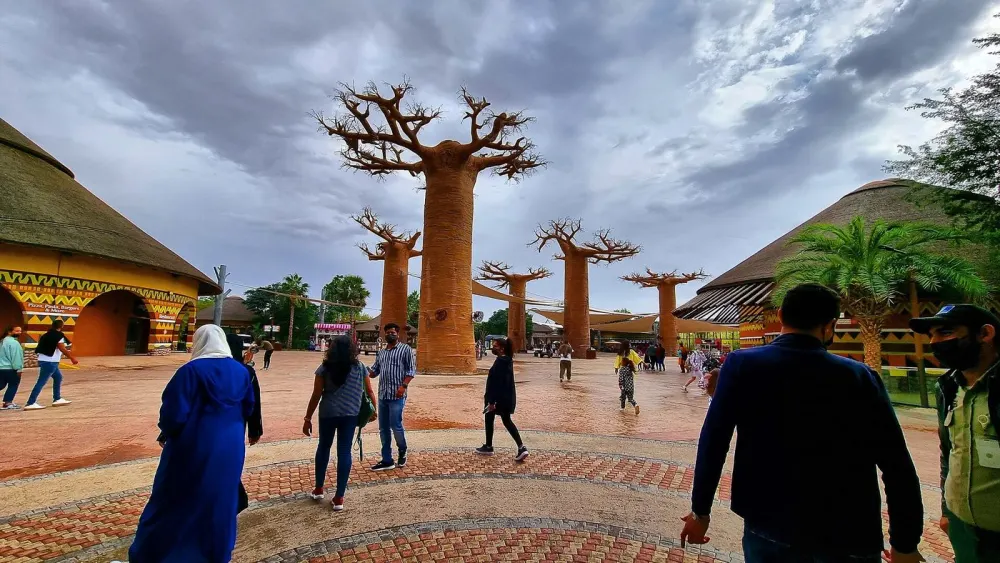 Площадь с баобабами в Dubai Safari Park